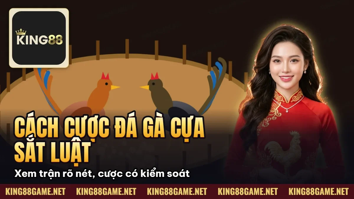 Cách Cược Đá Gà Cựa Sắt – Luật Chơi Và Cách Xem Trận Dễ Dàng Cách Cược Đá Gà Cựa Sắt – Luật Chơi Và Cách Xem Trận Dễ Dàng